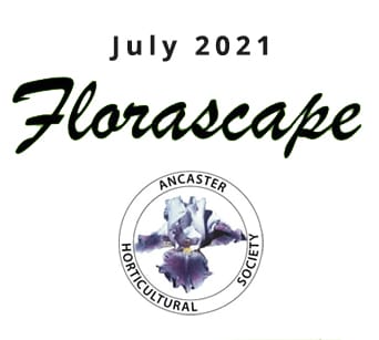 Florascape Newsletter July 2021