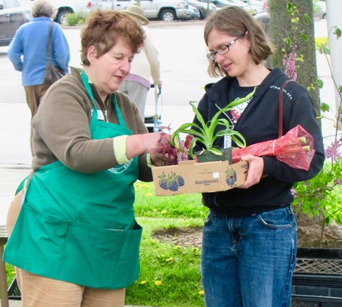 An image of the Ancaster Horticultural Society's plant sale with expert gardeners.