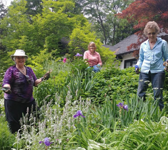 An image of three members from the Ancaster Horticultural Society in the garden.